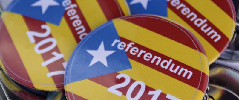 What’s so controversial about referendums?