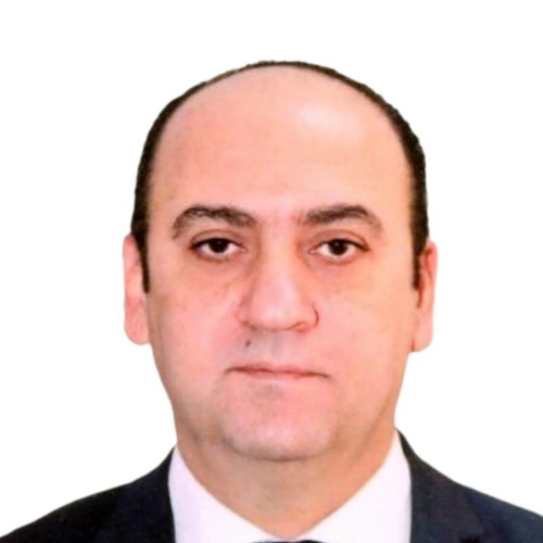 H.E. Amr Adel Hosni